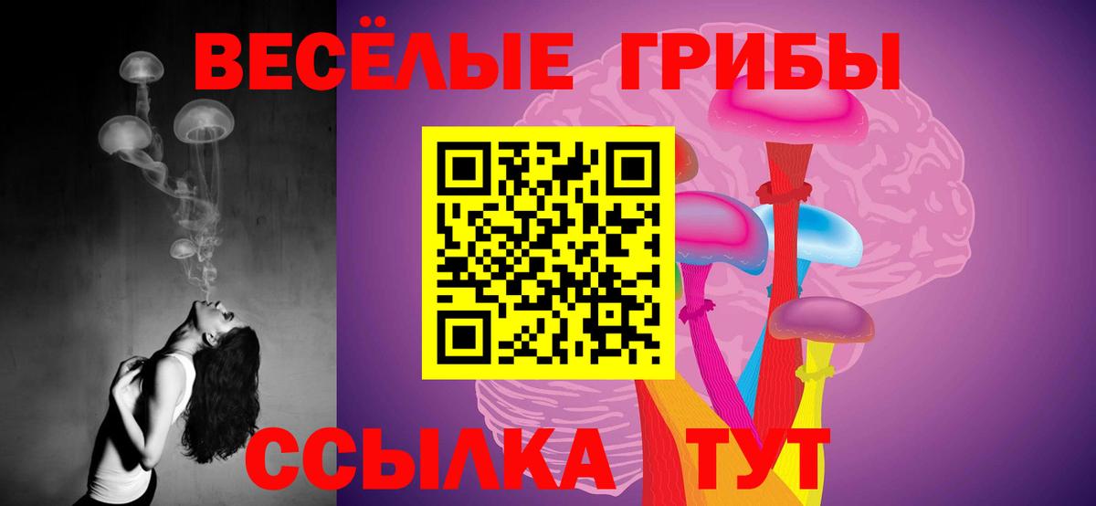 Галлюциногенные грибы прущие грибы  Вход с VPN  Черкесск  Псилоцибиновые грибы ЛСД 